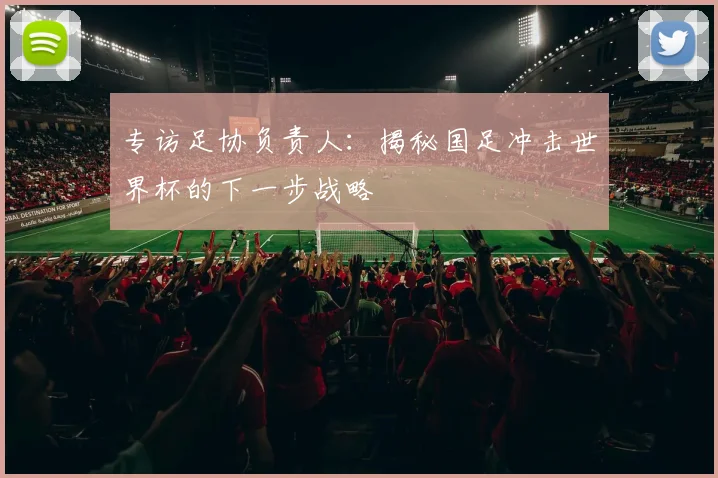 专访足协负责人：揭秘国足冲击世界杯的下一步战略