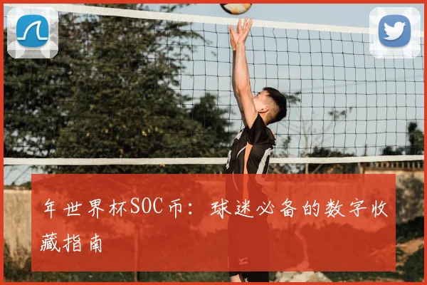 年世界杯SOC币：球迷必备的数字收藏指南
