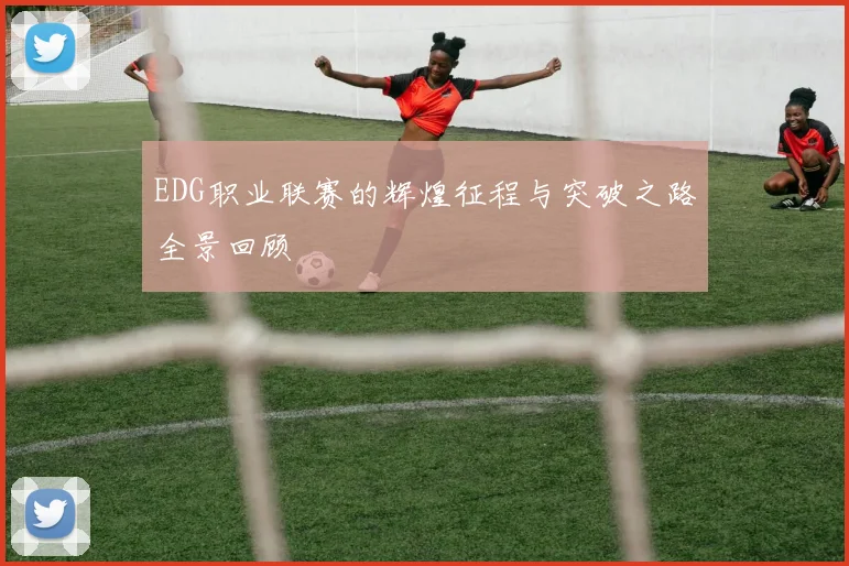 EDG职业联赛的辉煌征程与突破之路全景回顾