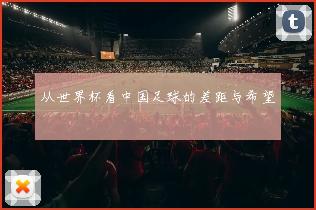 从世界杯看中国足球的差距与希望