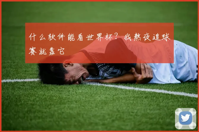 什么软件能看世界杯？我熬夜追球赛就靠它