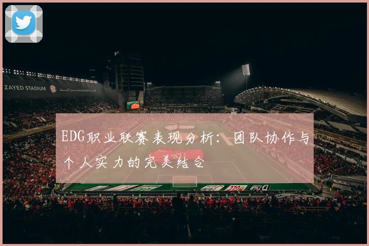EDG职业联赛表现分析：团队协作与个人实力的完美结合