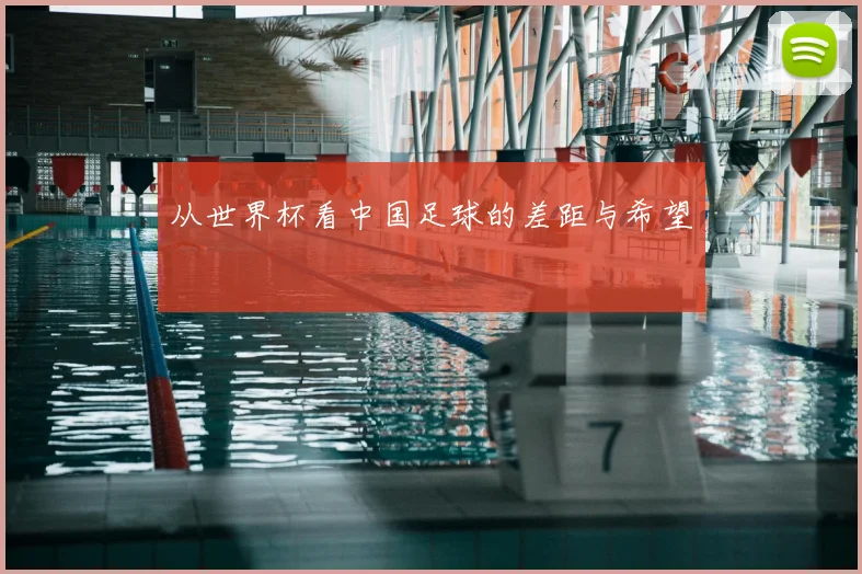 从世界杯看中国足球的差距与希望