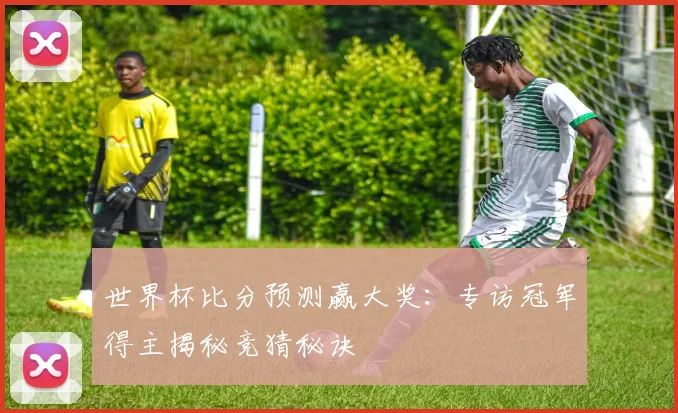 世界杯比分预测赢大奖：专访冠军得主揭秘竞猜秘诀