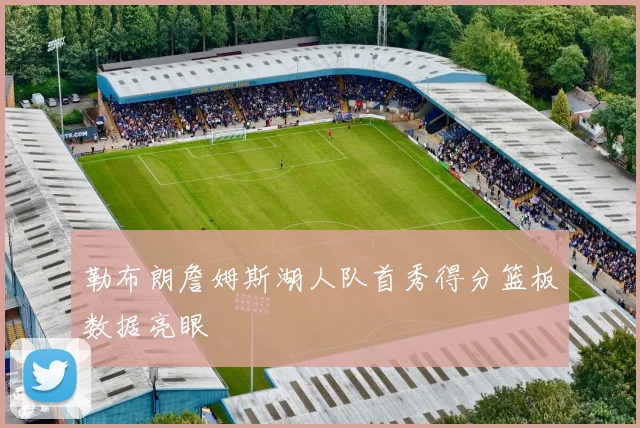 勒布朗詹姆斯湖人队首秀得分篮板数据亮眼